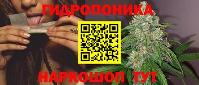 таблы Новодвинск