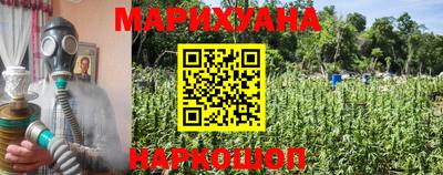 МДПВ Новозыбков