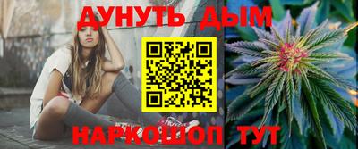 МДПВ Новозыбков
